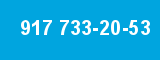 917 733-20-53